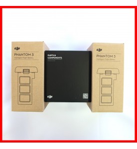 2 X DJI Phantom 3 Professional Advanced Battery + Remote Strap Ready to ship Out
